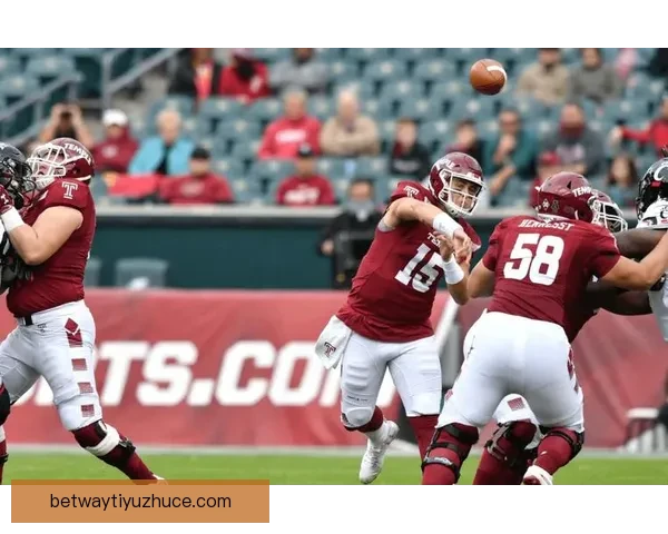 纵览2026世界杯北美三国举办城市文化风景与足球热情交汇之旅